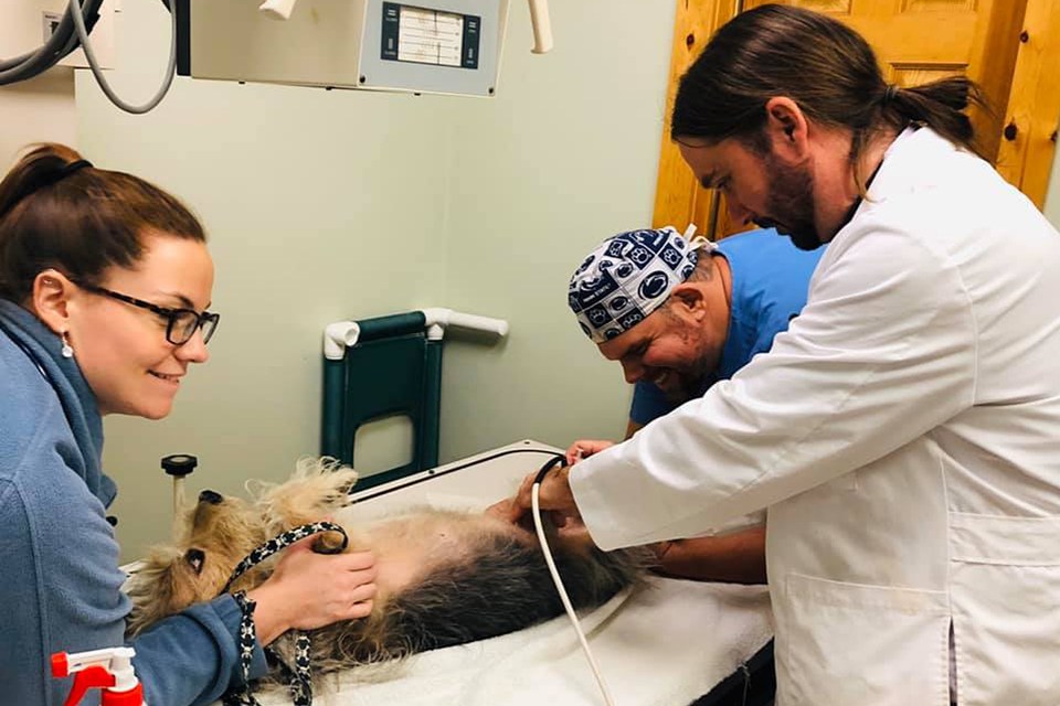 Cheat Lake Animal Hospital veterinarians (from left) Drs. Elli Antulov, Chuck Wolfe and Jesse Fallon work with a patient. The clinic’s $450,000 gift to WVU will help launch the state’s first four-year veterinary technology program.