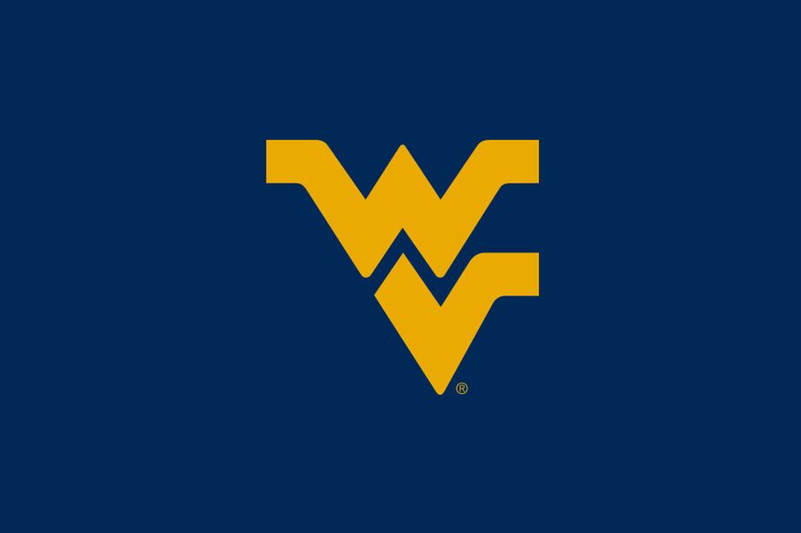 Flying WV logo with a blue background