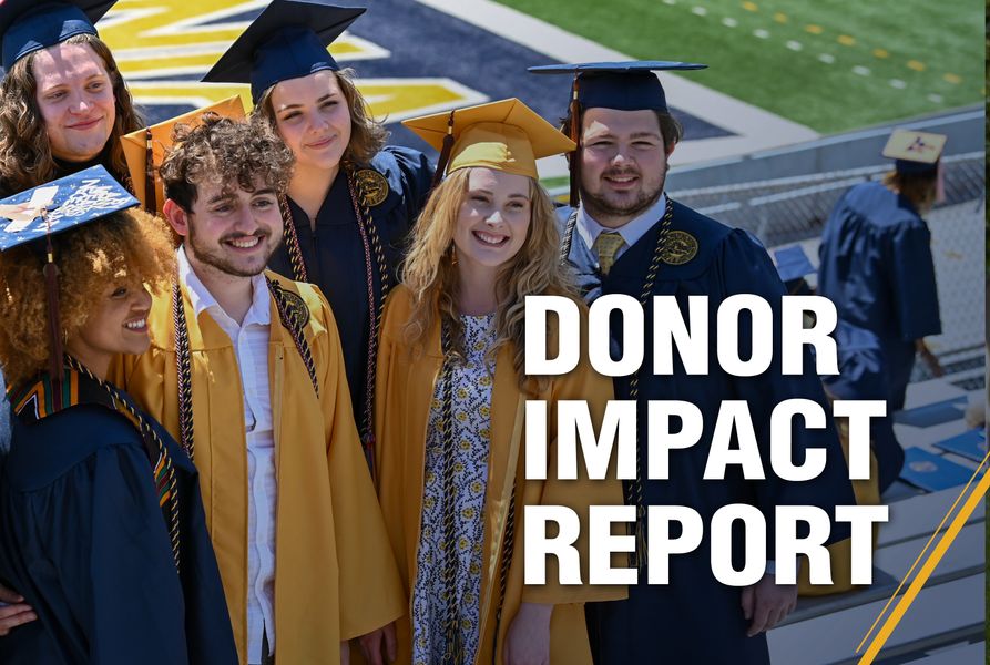 donor impact report