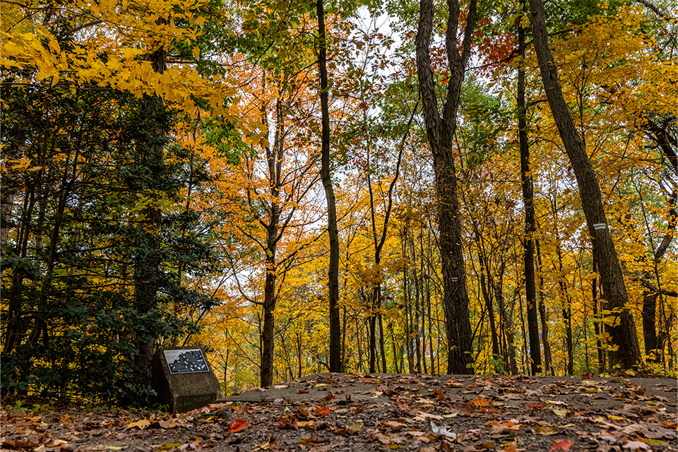 A $1.8 million estate gift to WVU from the family of Earl L. Core will benefit WVU Libraries and the namesake Core Arboretum.