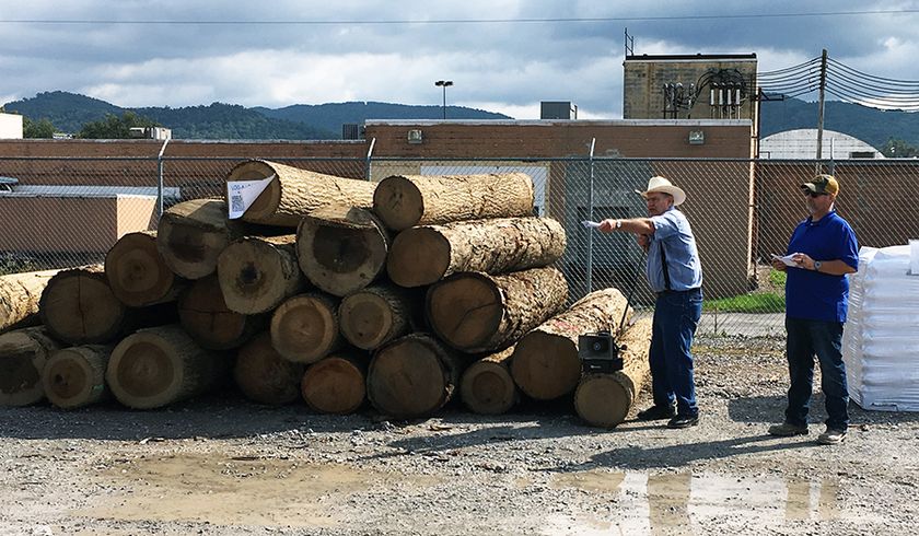 Auctioneer Dallas Heldreth (second from left) and Mountain Loggers Cooperative Association member Mark Shreve auction a load of logs at the Log-a-Load for Kids Log Auction on Oct. 4.